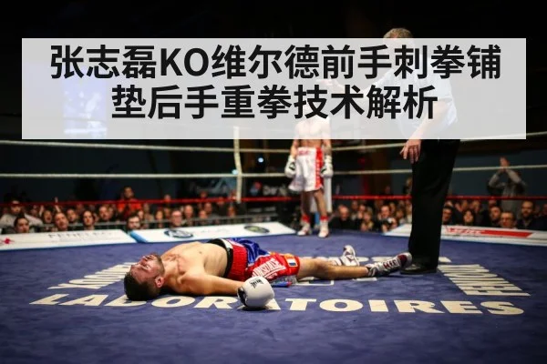 张志磊KO维尔德前手刺拳铺垫后手重拳技术解析